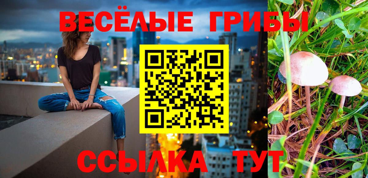 Псилоцибиновые грибы Magic Shrooms Хасавюрт