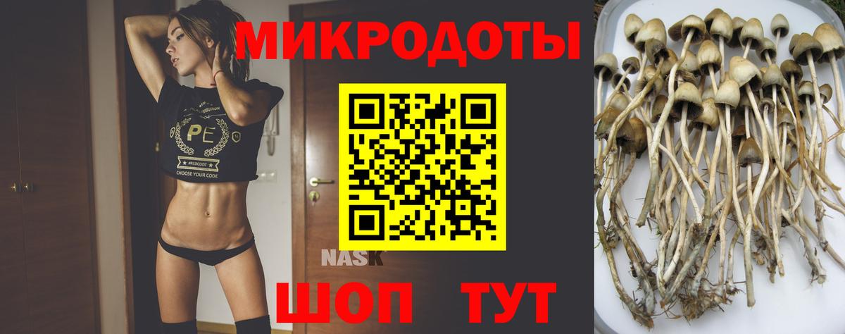 Хасавюрт  где купить наркоту  Вход с VPN  Псилоцибиновые грибы ЛСД 